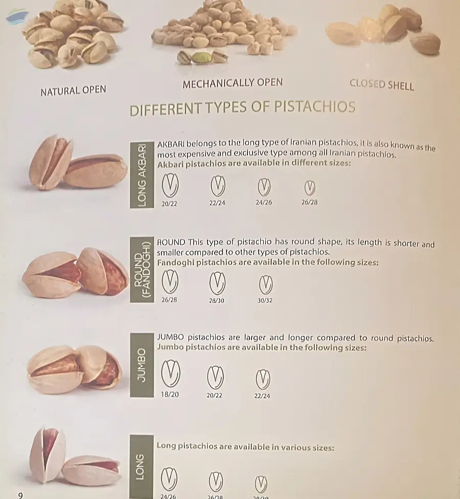 Pistachio (Long, round, jumbo, long akbari)