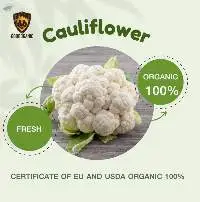 Organic Cauliflower (Fresh)