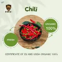 Organic Chili (Fresh)