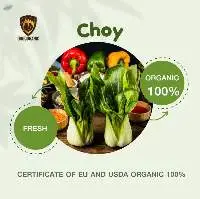 Organic Choy (Fresh)