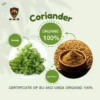 Organic Coriander (Fresh)