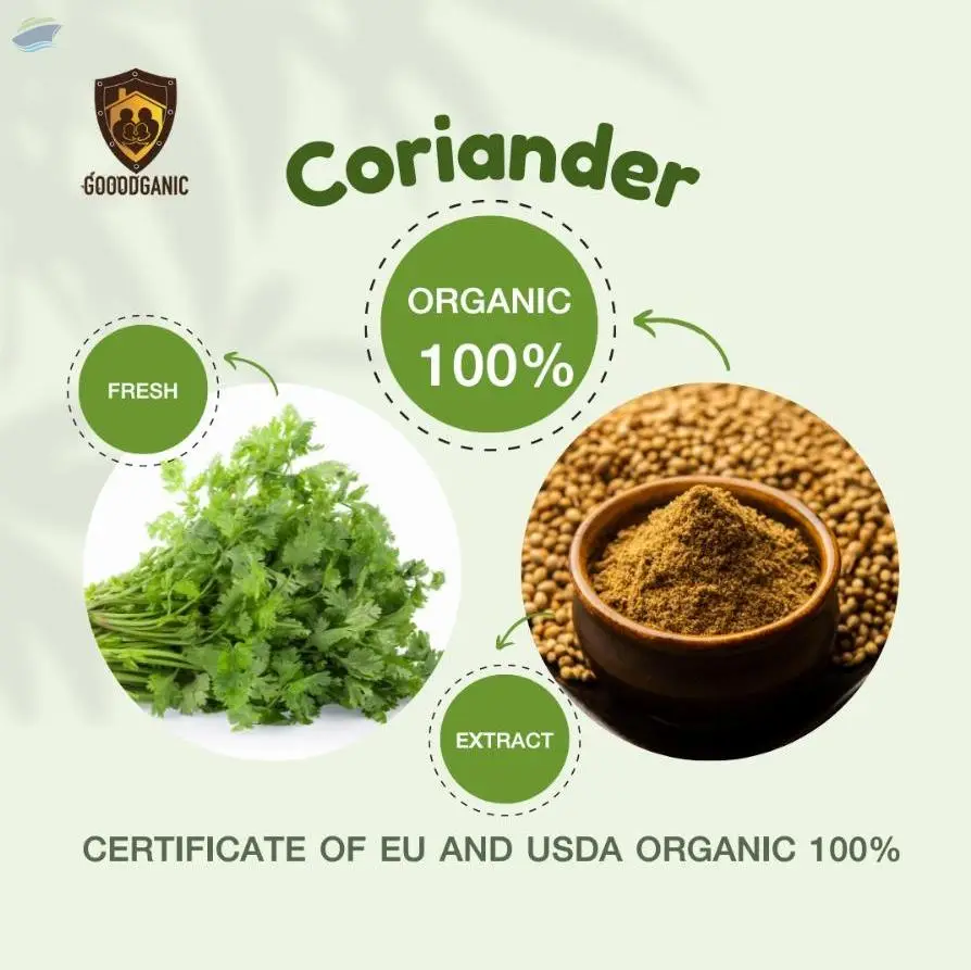 Organic Coriander (Fresh)
