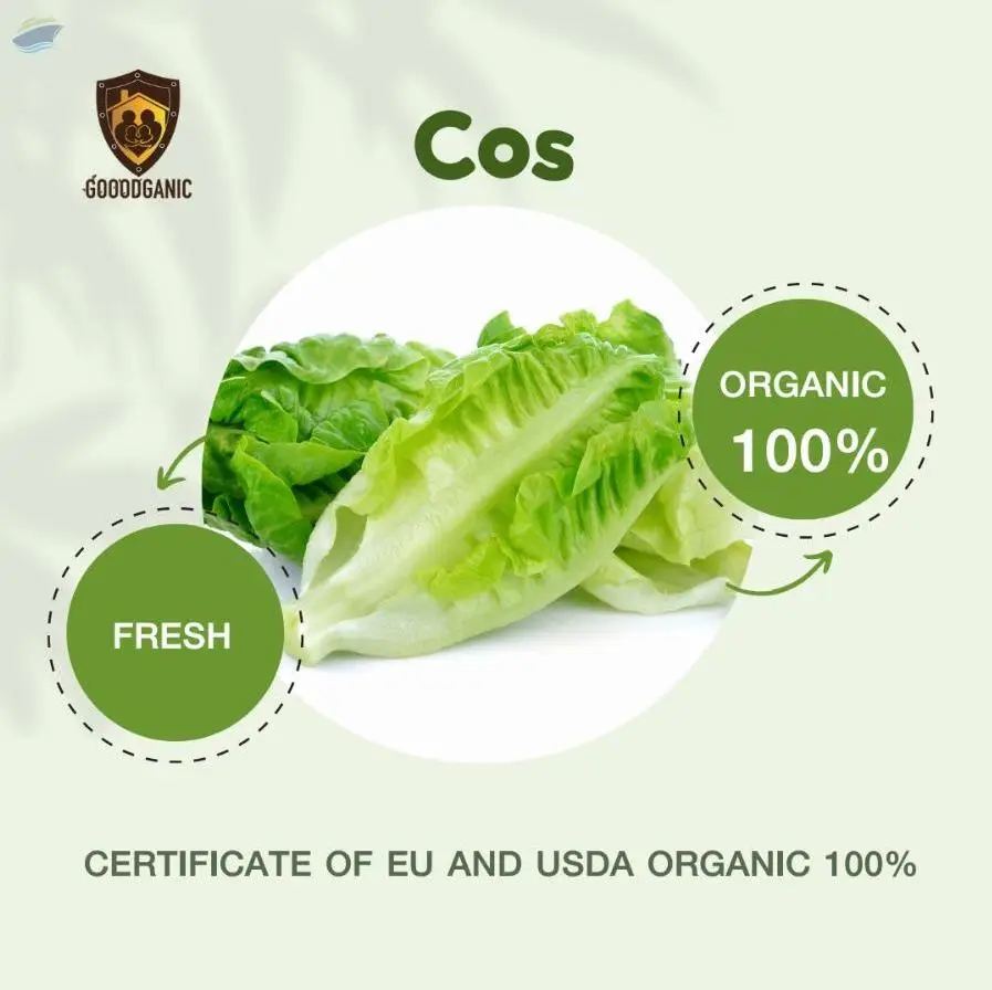 Organic Cos (Fresh)