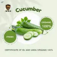 Organic Cucumber (Fresh)