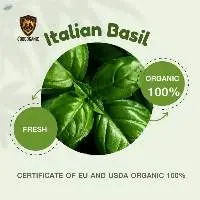 Organic Italian Basil, Kale, Lemon (Fresh)