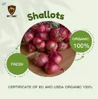 Organic Shallots, Spinach, Spring Onion (Fresh)