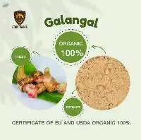 Organic Galangal, Mulberry, Bitter Gourd (Fresh)
