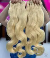 Vietnamese Single Donor Body Wave Hair