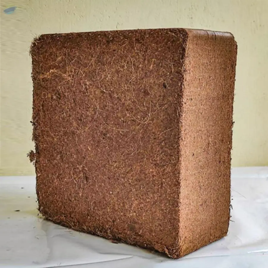 Coco Peat 5kg Blocks