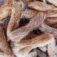 Bristle Fiber