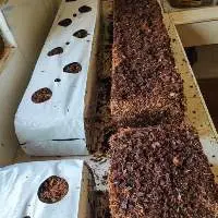 Coco Peat Grow Bag Slab