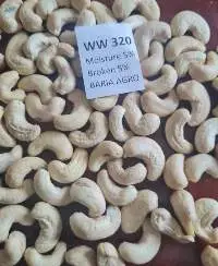 Cashew Nut W320