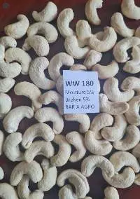 Cashew Nut W180