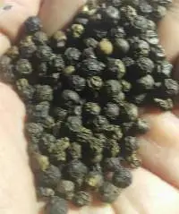 Black Pepper 500GL MC