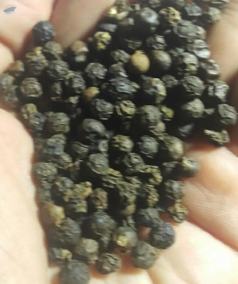 Black Pepper 500GL MC