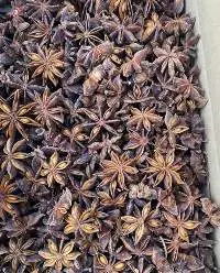 Star Anise Spring Crop