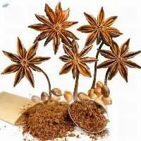 Star Anise Autumn Crop