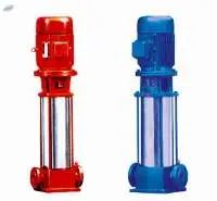 Jockey Pump