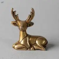 Himalayan Chital