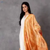 Gaura Shibori Chanderi Dupatta