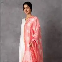 Barha Shibori Chanderi Dupatta
