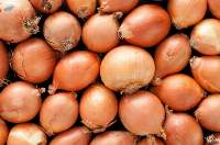 Grade A Brown/Yellow Onions