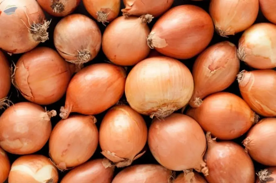 Grade A Brown/Yellow Onions