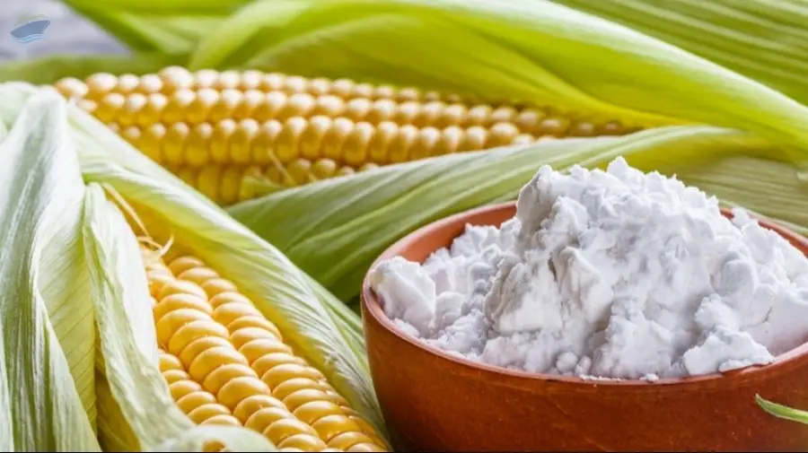 Food Grade And Non Food Grade Corn Starch