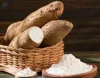 Tapioca Starch Food Grade And Non Food Grade  