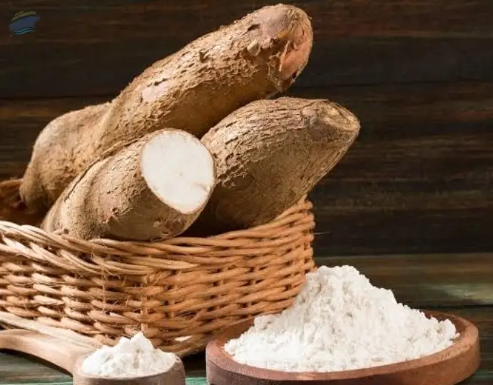 Tapioca Starch Food Grade And Non Food Grade  