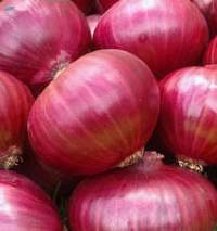 Vegetable 