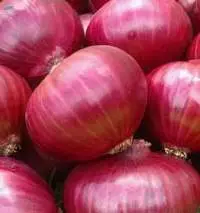 Vegetable 