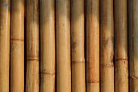 Bamboo Products