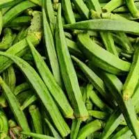 Fresh Okra