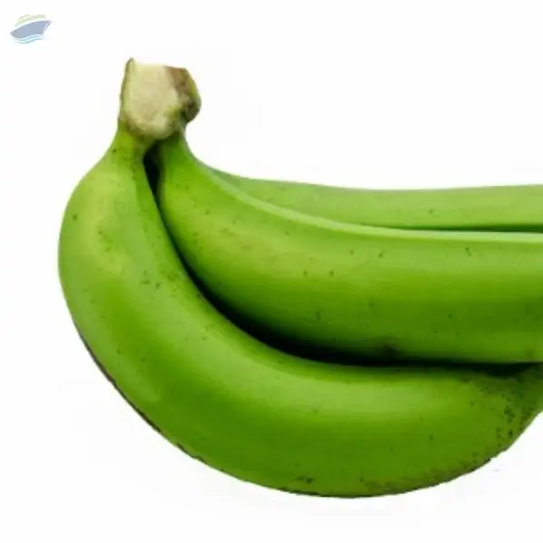 Fresh Banana