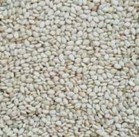 Sudanese Sesame Seeds