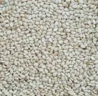 Sudanese Sesame Seeds