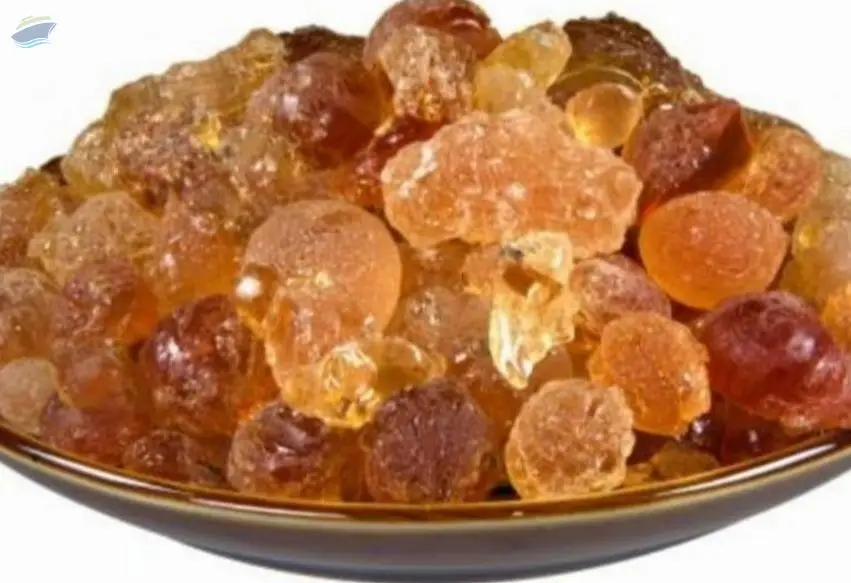 Gum Arabic
