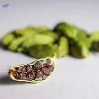 Green Cardamom