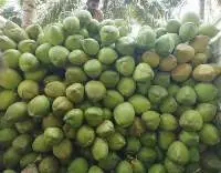 Coconut Husked