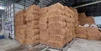 Clean Dried Coconur Coir Fiber