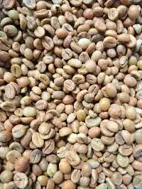 Coffee Bean