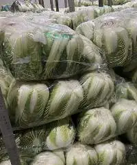 Cabbage And Carrot