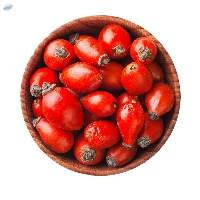 Rosehip Berries