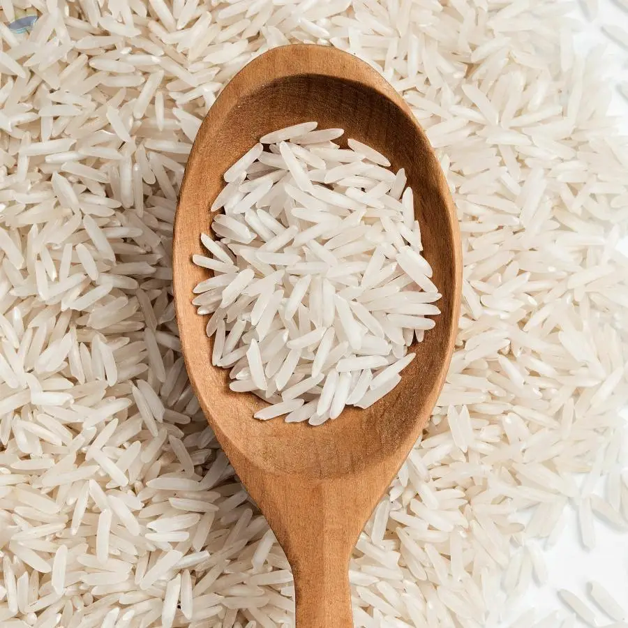 Rice 