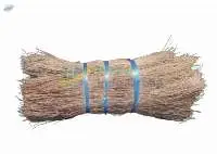 Coco Bristle