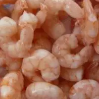 Frozen Shrimp/Prawn
