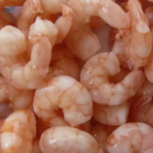 Frozen Shrimp/Prawn