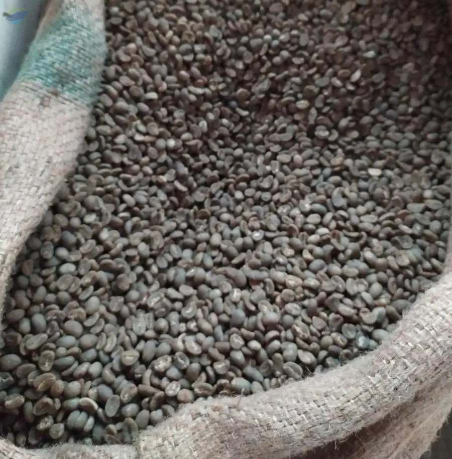 Coffee Beans