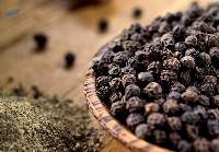 Premium Black Pepper Whole Spice Export Grade
